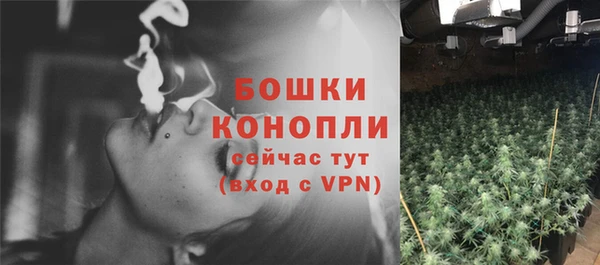 тгк Горно-Алтайск